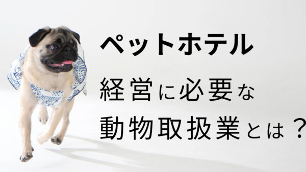 千葉県でペットホテルを開業する！動物取扱業のすべてを解説