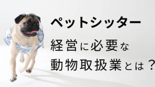 ペットシッターを始めたい方必読！動物取扱業の登録手続きとその要点