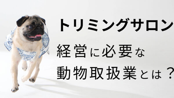 千葉県でトリミングサロンを開業！動物取扱業の登録申請と必要条件